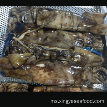 Sotong Beku Seluruh Dosidicus Gigas Sotong Bulat